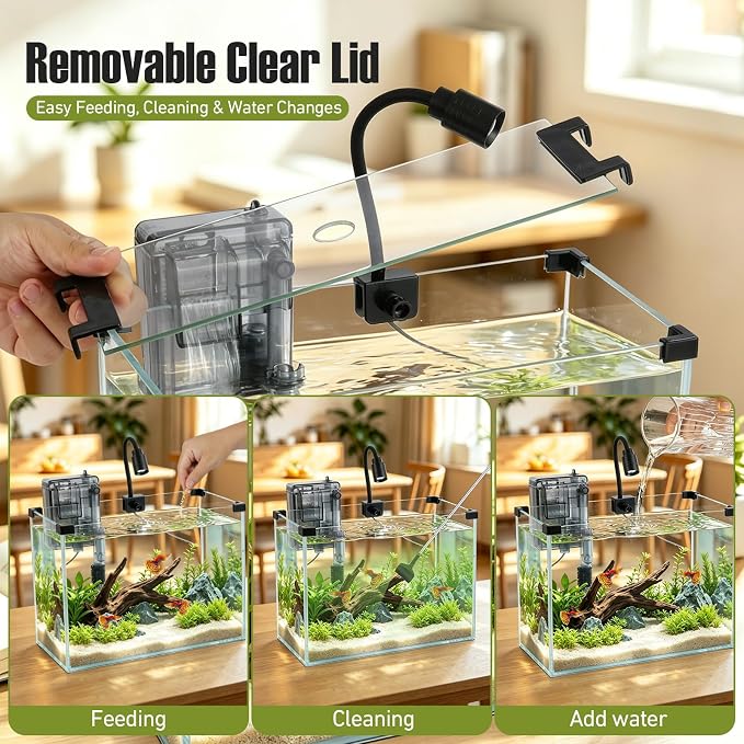 2.9 Gallon Small Glass Fish Tank Kit | Hang on Back Aquarium Filter, 3-Color LED Light, Glass Betta Fish Tank Kit with Removable Clear Lid and Non-Slip Mat