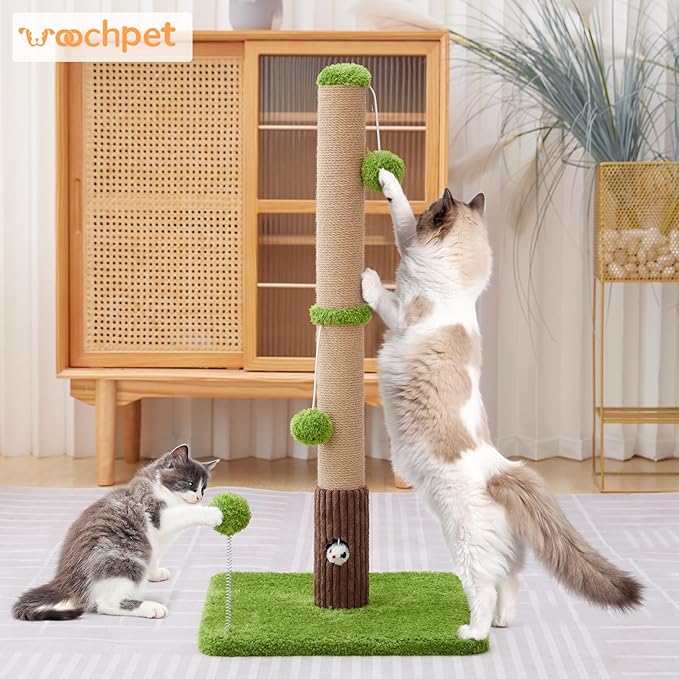 Woochpet 33" Tall Cat Scratching Post for Indoor Cats, Premium Sisal Scratch Posts with Cat Toys and Fun Mouse Holer for Cats at All Ages, Scratcher Tree with Reinforced Stable Base (Green)