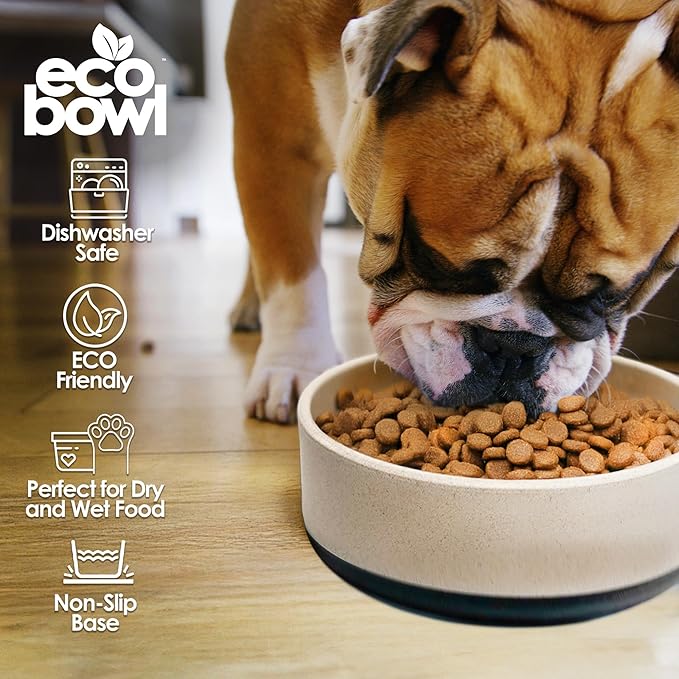 Palz&Co EcoBowl with Lid for Dogs & Cats, 48 oz Gray - Natural Bamboo Pet Bowl with Non-Slip Base, Pet Food and Water Dish, Dishwasher Safe