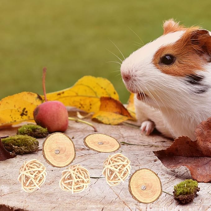 Bunny Chew Toys Natural Apple Wood Small Animal Chew Toys for Rabbits Chinchilla Hamsters Guinea Pigs Gerbils (Pack 1)