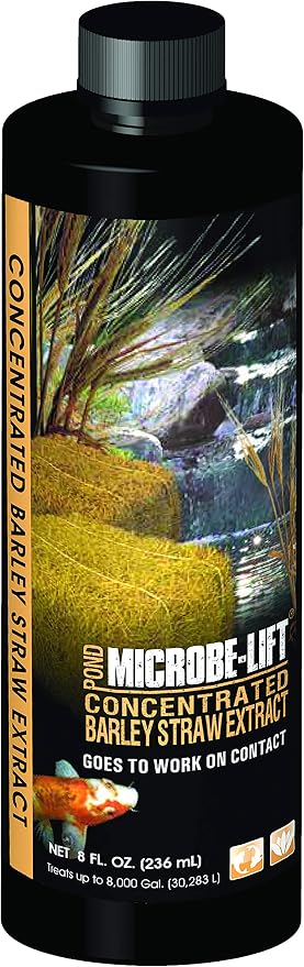 MICROBE-LIFT MLCBSE250 Concentrated Barley Straw Extract Conditioner for Ponds and Outdoor Water Garden, Safe for Live Koi Fish, Plants, and Decorations, 8 Ounces