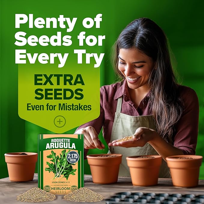 HOME GROWN Arugula Roquette Seeds 4350+ Bulk Pack Heirloom Non-GMO, High Germination, Peppery Salad Greens, Indoor Outdoor Hydroponic Garden, Microgreens, Year-Round Harvest (Eruca vesicaria)