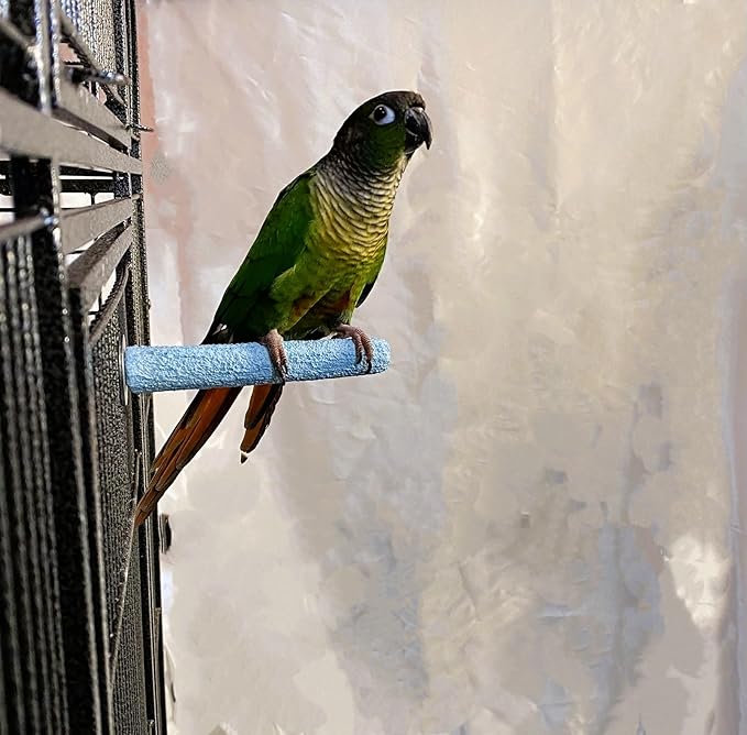 Polly's Pastels Nail Trimming & Beak Conditioning Safety Perch for Cockatiels, Cockatoos, Macaws, Parakeets, Budgies, Parrots and All Other Birds (Blue, Baby medium-3/4 Dia. x 5" Long)