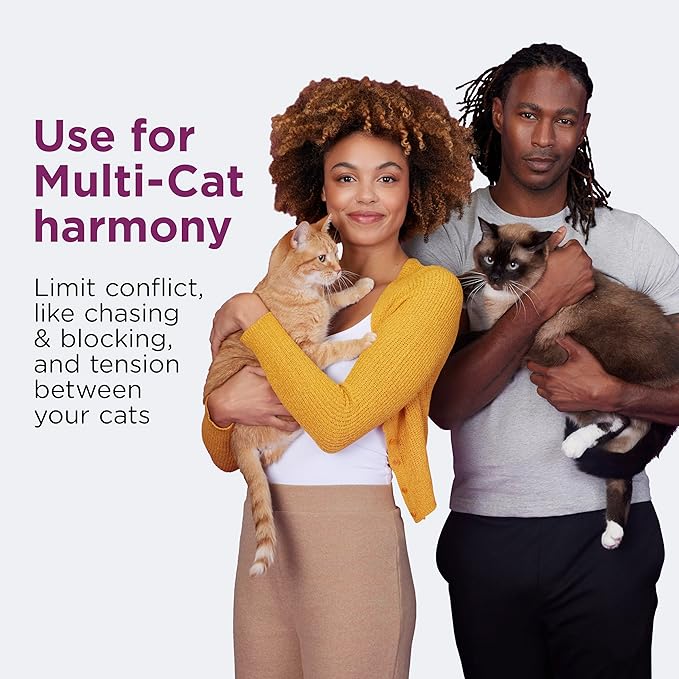 Comfort Zone Multi Cat Calming Diffuser Refill–Cat Calming Pheromone Refills Help Reduce Anxiety, Stress, Scratching, Urine Marking, Multi-Cat Aggression,(30-Day Refills, 180-Day Supply)(Pack of 12)