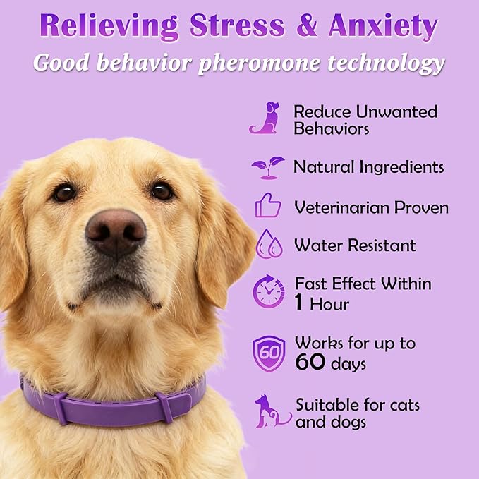 Calming Collar for Cats and Dogs — Relieves Separation Anxiety, Nervousness, and Inappropriate Urination in Dogs, ELasts Up to 8 Weeks (Purple), Adjustable Size, Suitable for All Body Types