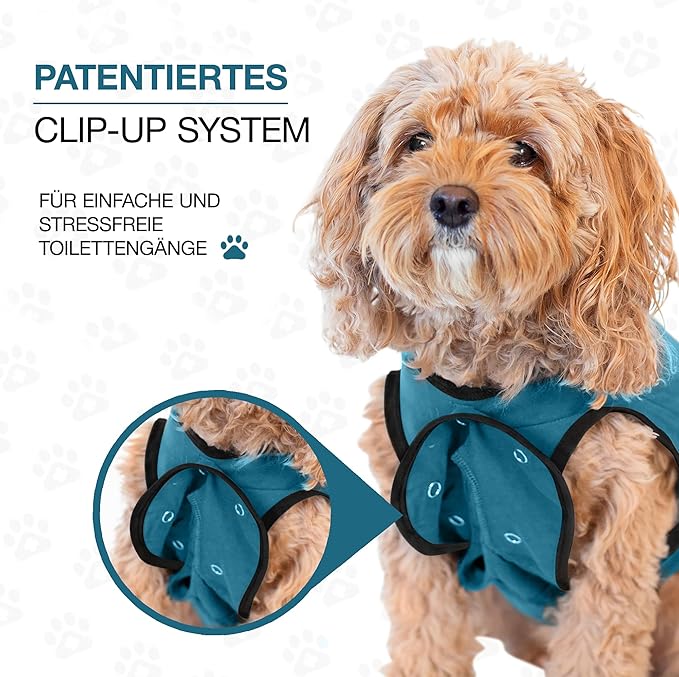BellyGuard Dog Surgery Recovery Suit, Dog Onesie for Post-Op Care, Recovery Apparel for Female and Male, Surgical Body Cover for Canine Healing Support