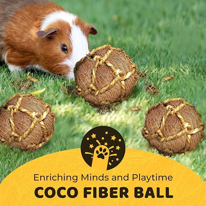 SunGrow Guinea Pig Coconut Fiber Balls, Improves Oral Wellness, Environment Friendly, Stress Reliever, Ideal for Chew Item for Rabbits, Chinchilla & Kitten (3 Pieces)