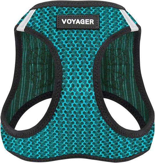 Best Pet Supplies Voyager Step-in Air Harness - All Weather Mesh, Reflective, No Pull Harness for Dogs, Cats - Secure with Hook & Loop Fastener, Buckle, Double D-Rings - Turqupise 2-Tone, M
