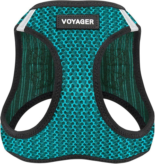Best Pet Supplies Voyager Step-in Air Harness - All Weather Mesh, Reflective, No Pull Harness for Dogs, Cats - Secure with Hook & Loop Fastener, Buckle, Double D-Rings - Turqupise 2-Tone, XL