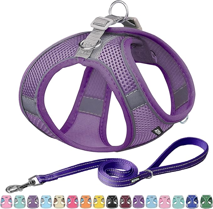 AIITLE Dog Harness, No-Pull Cat Harness with a Leash, Adjustable Reflective Dog Vest, Cat Harness Escape Proof, Outdoor Walking, Running,Training for Extra Small Dogs and House Cats Pure Purple XXXS