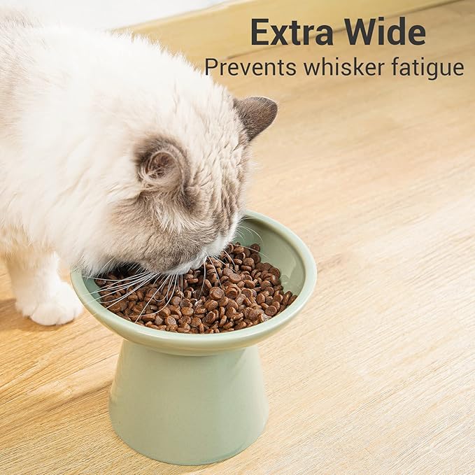 CEEFU Extra Wide Elevated Ceramic Cat Food Bowl - 6.2" Shallow Dish for Whisker Fatigue Relief, 5" Height for Easy Feeding, Lead & Cadmium Free, Durable Raised Cat Food Bowls, Sage Green