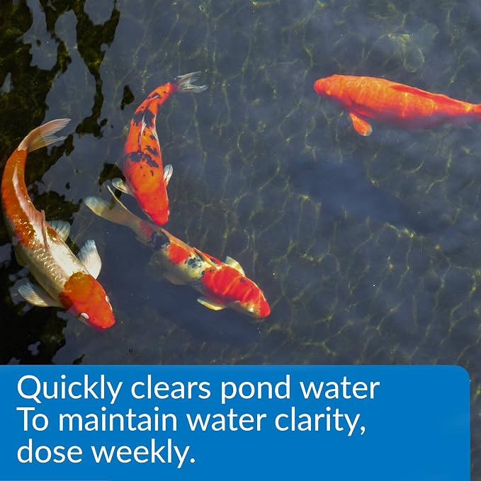 API Pond ACCU-Clear (32 fl oz) Water Clarifier - Improves Filter Efficiency | Quickly Cleans Cloudy Pond Water - Treats Up To 4,800 Gallons - Safe for Pets & Wildlife - Weekly Maintenance or As Needed