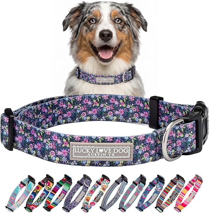 Lucky Love Dog Martingale Dog Collar - Adjustable, No-Slip, Durable, & Soft Webbing Collar for Male and Female Dogs Ideal for Training & Walking - Primrose, Medium