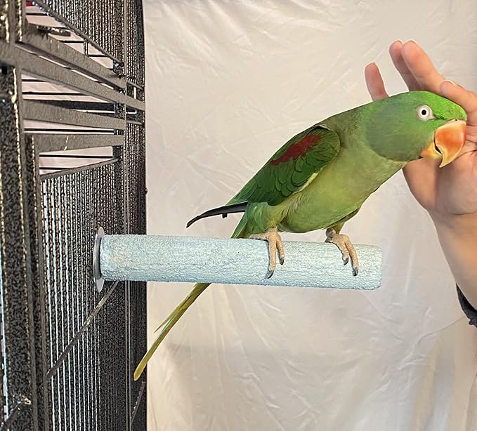 Polly's Pastels Nail Trimming & Beak Conditioning Safety Perch for Cockatiels, Cockatoos, Macaws, Parakeets, Budgies, Parrots and All Other Birds (Blue, Medium-1 1/4" Dia. x 8" Long)