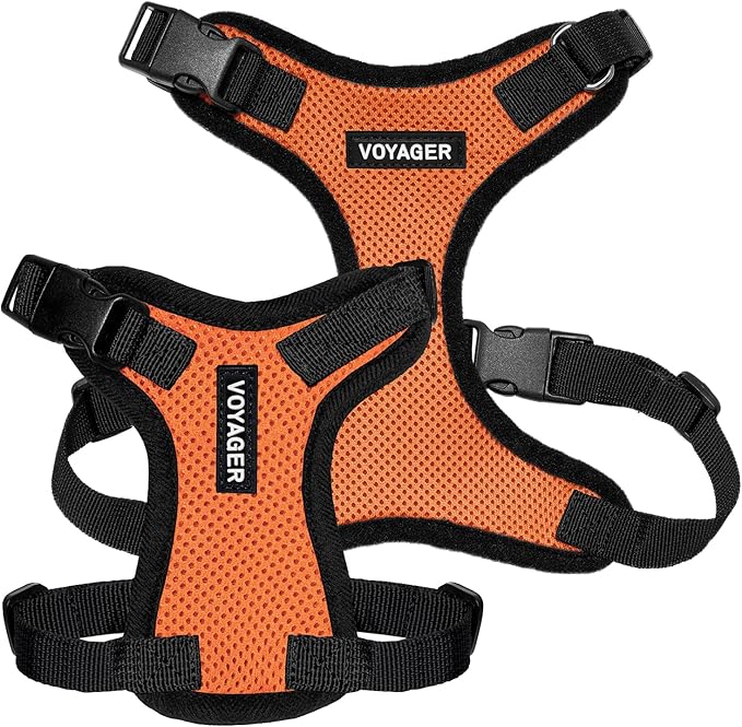 Voyager Step-in Pet Harness - All Weather Mesh, Adjustable Step in Harness for Cats and Dogs by Best Pet Supplies - Orange/Black Trim, XL