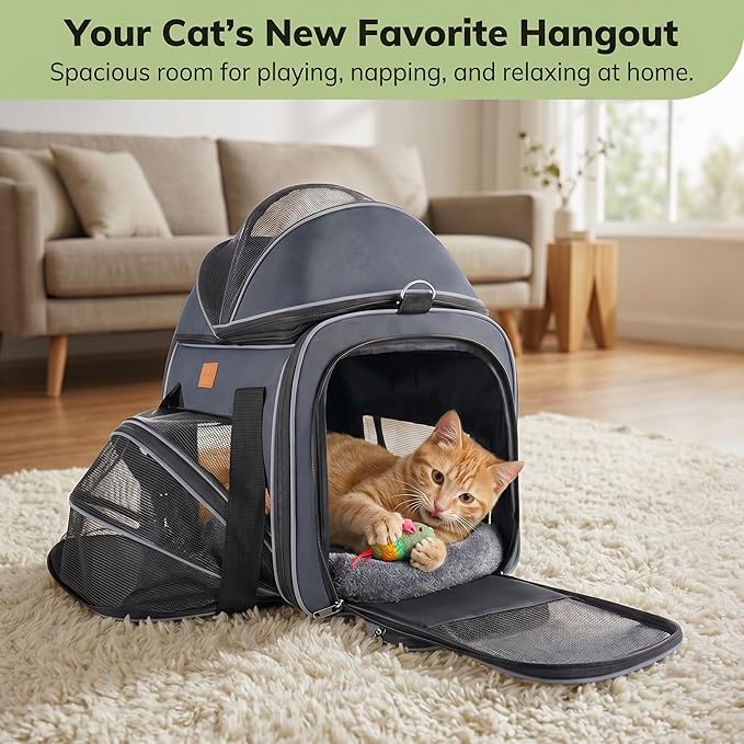 Morpilot Top and Side Expandable Cat Carrier, Collapsible Soft-Sided Pet Carrier for Medium/Large Cats and Puppies up to 20lbs for Car Rides and Vet Visits, with Dual-Sided Cushion& Bowl (Dark Gray)