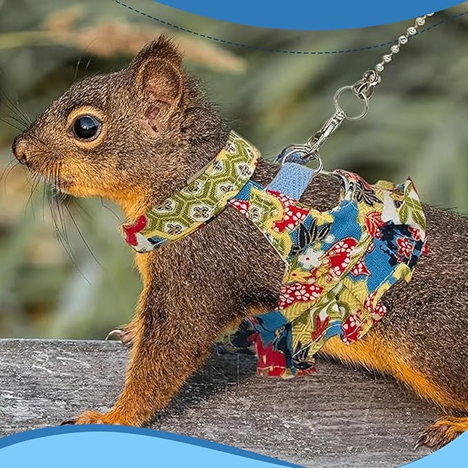 Guinea Pig Harness Skirt Clothes and Leash, Adjustable Hamster Ferret Harness and Leash Set, No Pull Walking Vest for Ferrets, Chinchillas and Similar Small Animals (flowercolor S