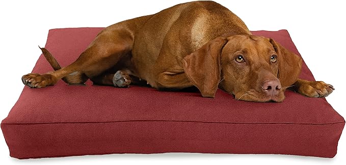 Small - 30 x 20 x 4 - Cranberry Premium Organic Hemp Dog Bed - CertiPUR Fill - Removeable Cover