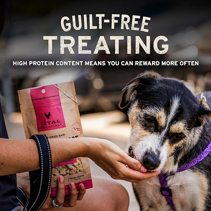 Vital Essentials Freeze Dried Dog Treats | Chicken Breast, Single Ingredient | Premium Quality | Grain Free Training Treats for Dogs, 10 oz Bag