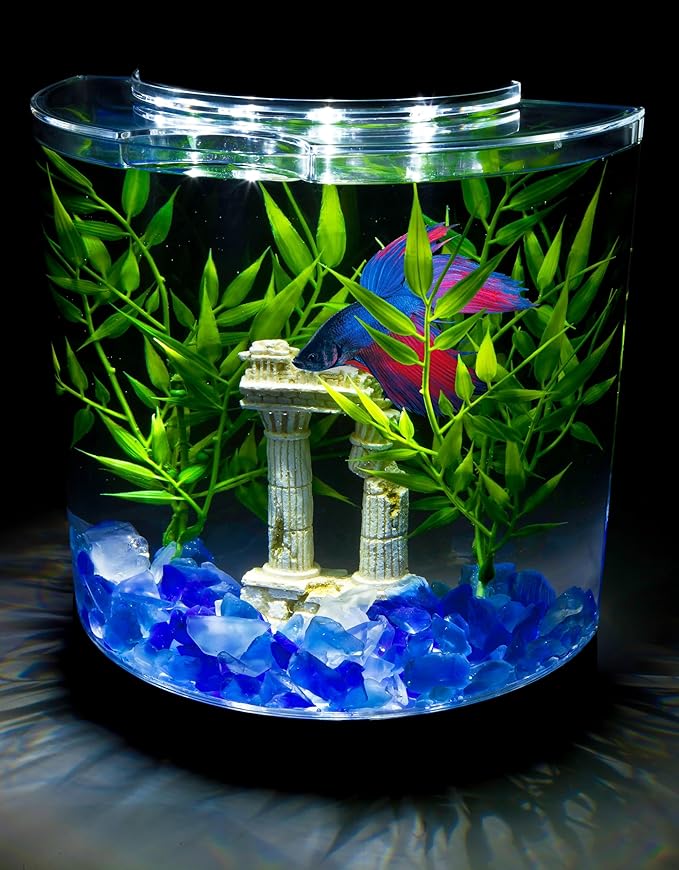 Tetra LED Half Moon Aquarium Kit, 1.1 Gallons, Small, Clear Plastic Fish Tank With Curved Front, Easy Feeding And Movable, Energy-Efficient LEDs Ideal For Bettas Great As Desk Aquarium