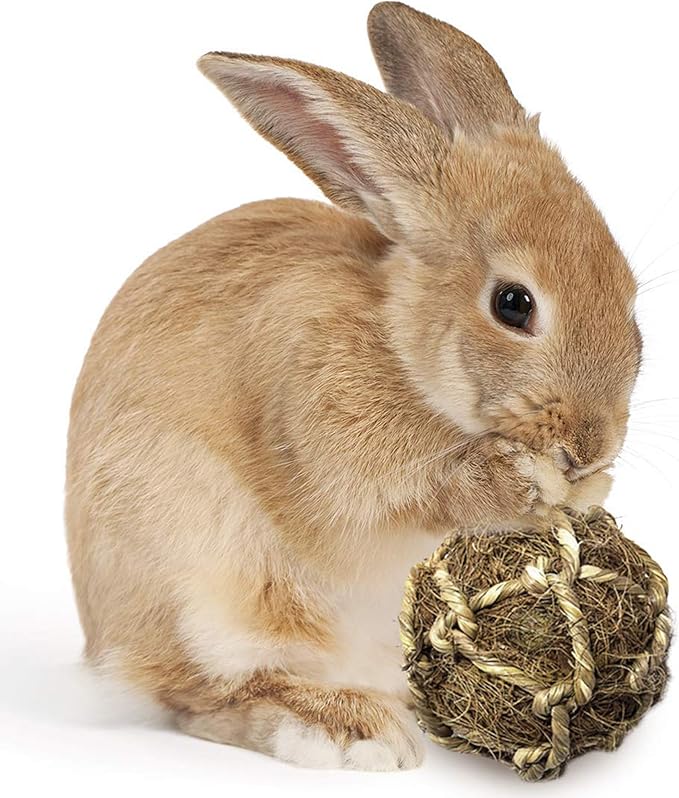 SunGrow Guinea Pig Coconut Fiber Balls, Improves Oral Wellness, Environment Friendly, Stress Reliever, Ideal for Chew Item for Rabbits, Chinchilla & Kitten (3 Pieces)