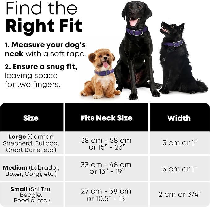 Regal Dog Products Medium Purple Waterproof Dog Collar and Leash Set | Heavy Duty Double Buckle & D Ring - 5'ft Leash | Adjustable Biothane Dog Collar | Chew Resistant Waterproof Collar for Dogs