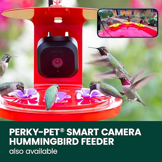 Perky-Pet Solar Powered Smart Bird Feeder with Camera - Squirrel-Resistant, 3.2L Capacity, Motion Activated 1080p HD WiFi Live Stream Camera, SPCAM, SPCAMSLR - Camera Feeder Gift Idea, Red