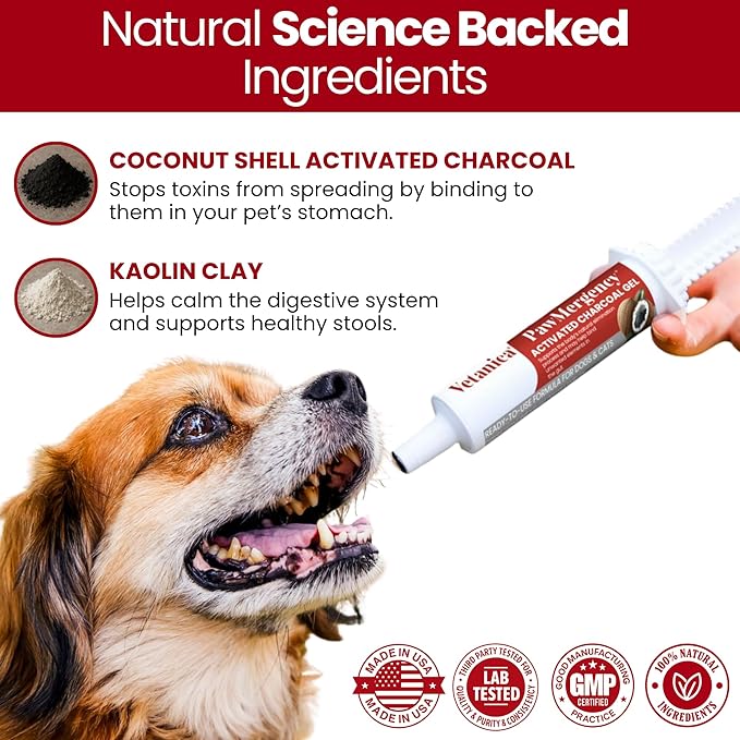 PawMergency – Activated Charcoal First Aid Kit Emergency Rescue for Dogs, Cats, Puppy & Pet Poison Kit, Camping Survival Remedy Essential,Oral Anti Diarrhea Digestive Paste Ready Absorb Toxins