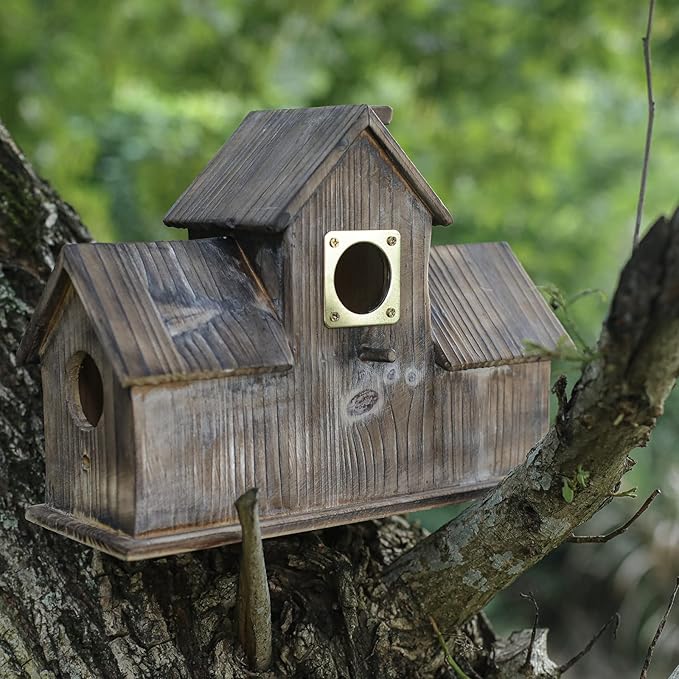 6-piece Metal Bluebird House Predator Guard，Metal Birdhouse Guard，Bird House Hole Protector Guard for Eastern Bluebird Box （3.81 cm Opening）