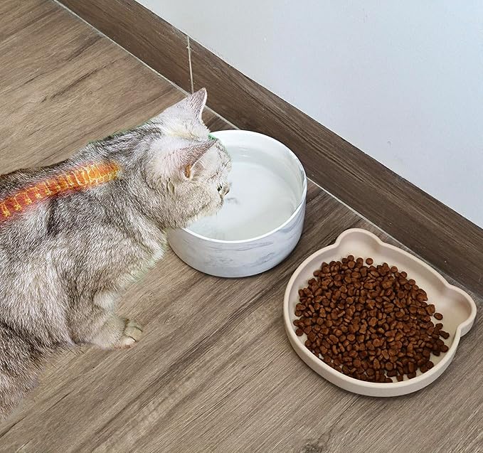 Cat Food and Water Bowl Set, Heavy Weighted Ceramic, No Tip Over, Shallow Wide Whisker Fatigue Silicone Dish, Pet Comfort Feeder for Small Dog, Untippable, Dishwasher Safe, 6 inch