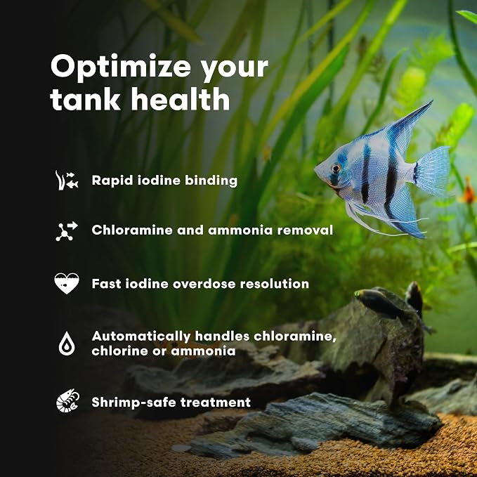 Brightwell Aquatics Erase-Cl Aquarium Water Conditioner & Detox, 250 ml