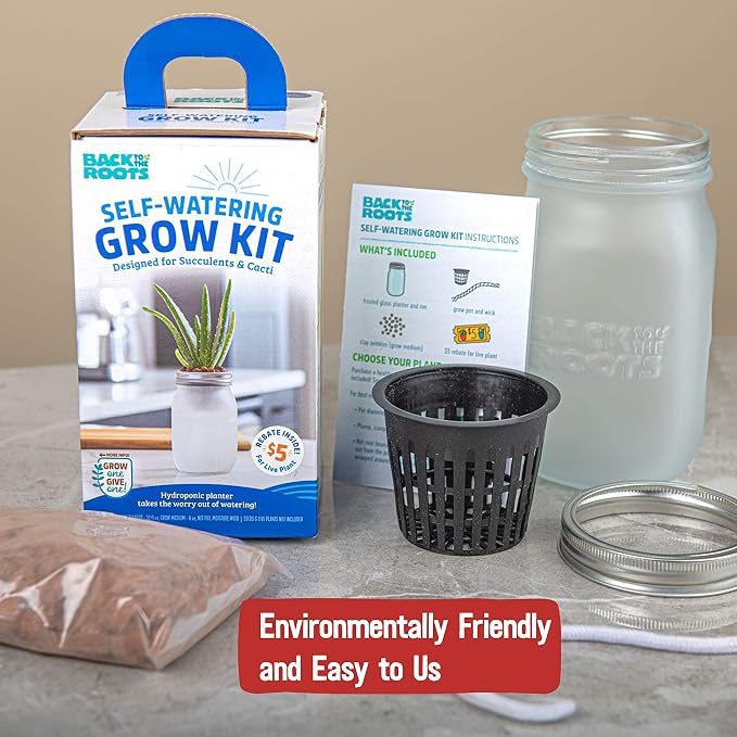 Back to the Roots Self Watering Grow Kit - Glass Hydroponic Planters for Succulents and Cacti Self-Watering System (Pack of 3)