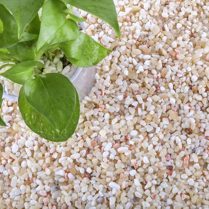 CJGQ 18lb Aquarium Gravel for Plants, 1/5Inch Outdoor Decorative River Rocks for Succulents and Cactus Landscaping, Garden Plant Natural Small Pea Gravel for Fish Tank Vases Terrarium