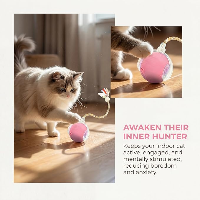 Rechargeable Smart Rolling Cat Ball, Automatic Interactive Cat Toy with 3 Modes, LED Light & 3 Replaceable Accessories, Indoor Cat Exercise Toy for Kittens & Adult Cats, for Boredom Relief Sky blue