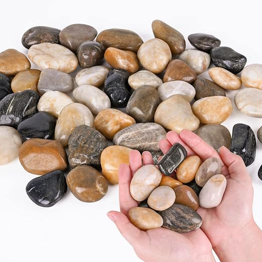 Pebbles for Indoor Plants 2.5 LB Small River Rocks 1"-1.5" Polished Decorative Stones Smooth Aquarium Gravel for Fish Tank Vases Planters Outdoor Landscaping Garden (40oz)