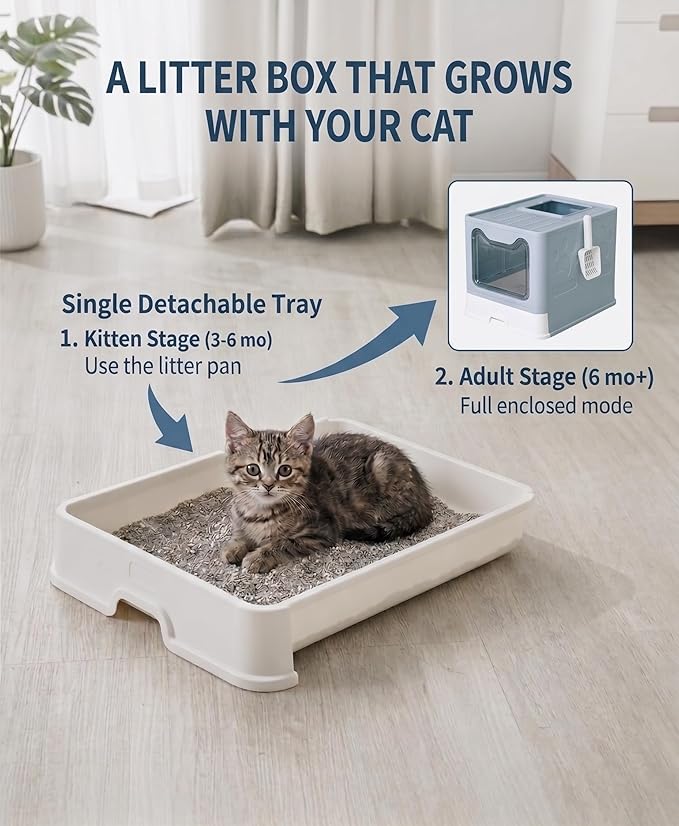 Medario Cat Litter Box with Litter Mat and Scoop, Large Covered Litter Box with Lid, Enclosed Kitty Box, Front Entry Top Exit, Odor Control, Easy to Clean (Blue)