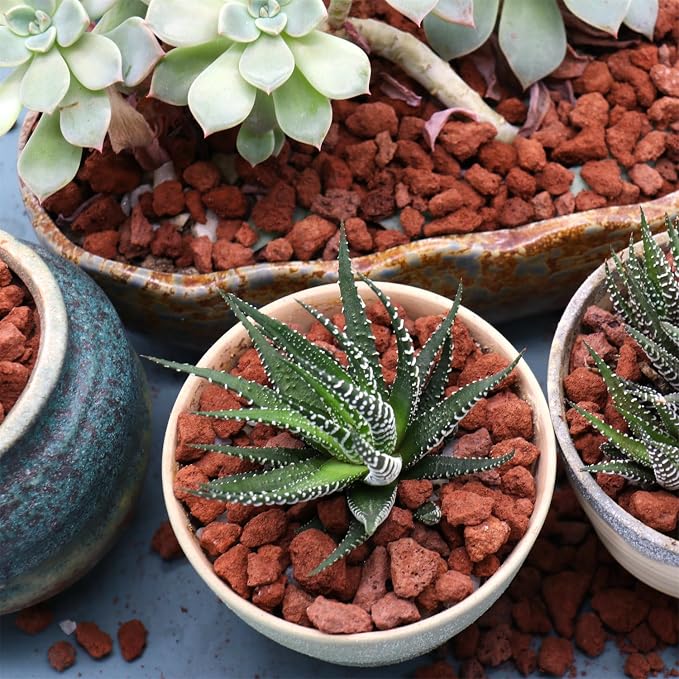 Red Lava Horticultural Lava Rocks for Plants, 1/5 Inch, 10 lbs