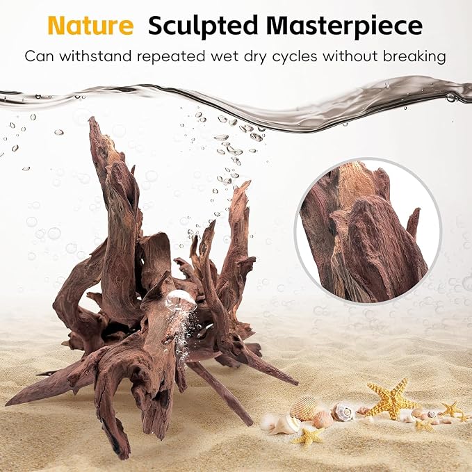 EFFIELER Natural Driftwood for Aquarium Decor – Unique Size Real Wood Branches for Fish Tank, Reptile Habitat, Terrarium, Hermit Crab, Shrimp Tank (11-14 INCH 2-Pack, Mopani Driftwood) | Aquarium & Terrarium Compatible Unique Organic Shapes