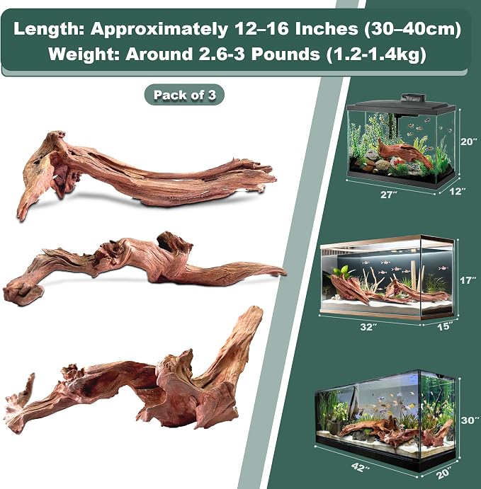 Natural Wood Driftwood for Aquarium Fish Tank Decor,Assorted Driftwood Trunk Branch for Reptile Tank Decor (MOP-ZYM Driftwood Branch (12 to16 Inch)-Pack of 3)
