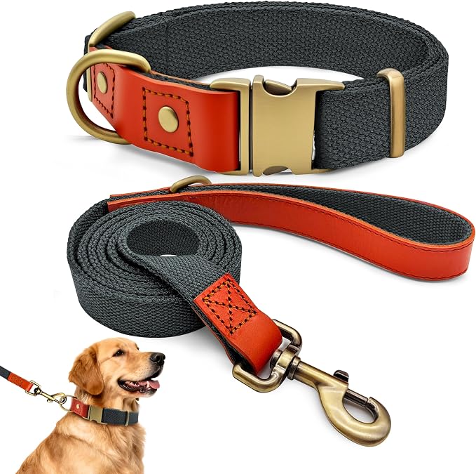 Dog Collar and Leash Set with Metal Quick Release Buckle, Adjustable, Breathable Nylon, Durable, Soft and Comfortable, No Pull for Walking and Training, Blue-Black, XL (16.9"-26")