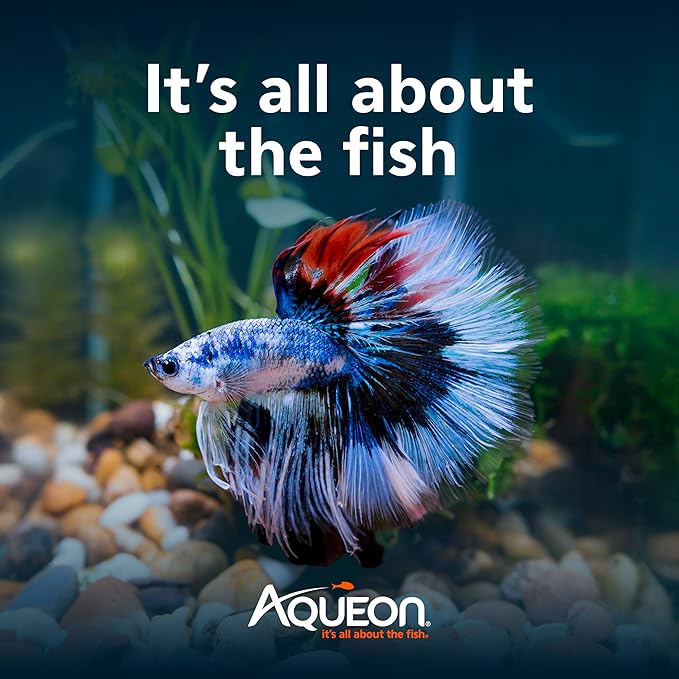 Aqueon BettaBow with Quick Clean Technology Aquarium Kit, Freshwater, Betta Fish, 1-Gallon, Black