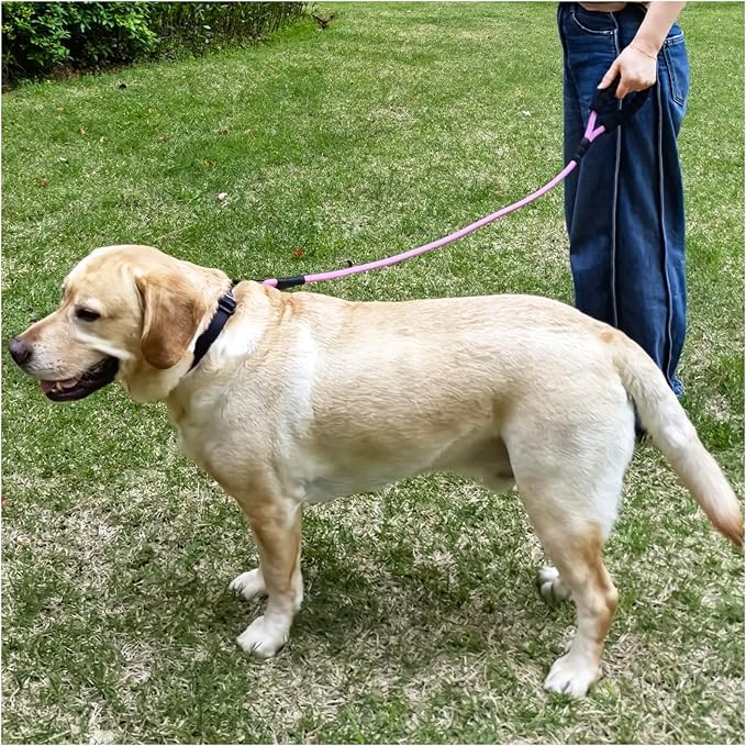 MayPaw 3FT Heavy Duty Rope Dog Leash, 6/8/10FT Nylon Pet Leash with Soft Padded Handle, Thick Lead Leashes for Large Medium Dogs Walking Training (Pink-Blue dot, 1/2" * 3')