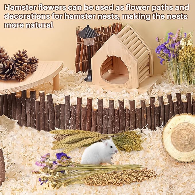 Sukh Natural Hamster Bedding Sprays - Foraging Habitat Decor Cage Accessories, Hideout Enrichment for Dwarf & Syrian Hamsters, Gerbils, Mice and Other Small Animals