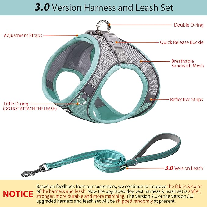 AIITLE Easy Walk Dog Harness and Leash Set - Pet Supply No Pull, Step in Adjustable Dog Harness with Padded Vest, Dog Harness No Choke Over, Easy to Put on Medium Dogs Turquoise L