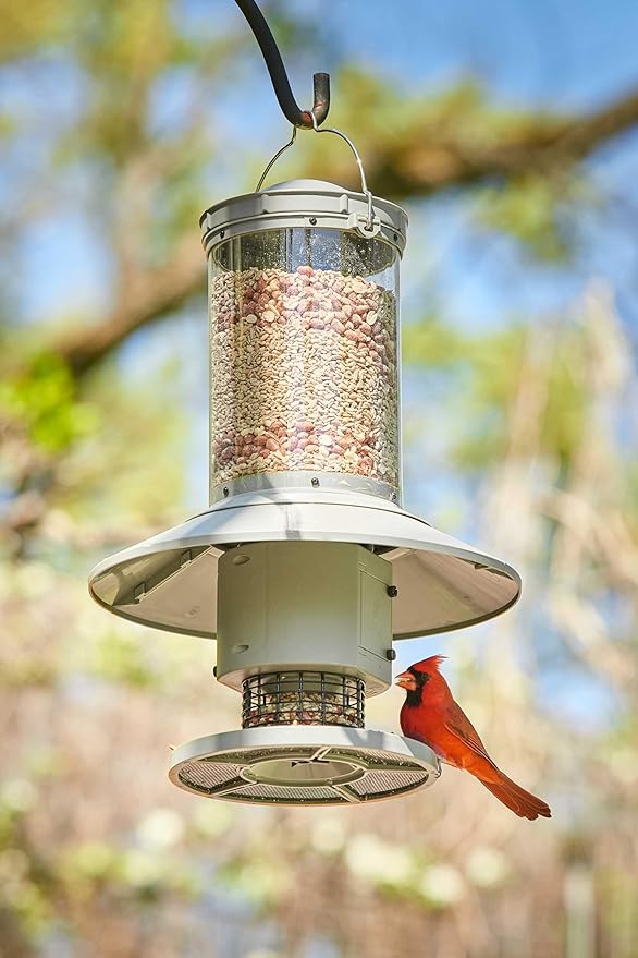 AUTOFEEDER Bird Feeder, Programmable, Automatic Time Released, Battery-Powered, Removable Lid, Squirrel Proof, Weather Resistant, 360 Degree Perch, Large Capacity - Classic Green