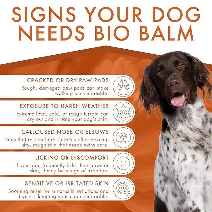 Dermoscent | Bio Balm | Natural, Organic, Healing Dog Paw Balm | Skin & Paw Soother For Dogs With Dry, Cracked, & Rough Paws | Veterinarian-Approved Paw Pad Moisturizer & Protector