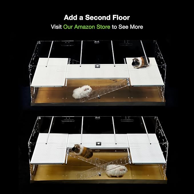 GuineaLoft™ Model-A3Loft Two-Level Acrylic Guinea Pig Cage w/ 2nd Floor Loft, Ramps, Beams & Gauze Lid, Large 4ft(L) x 2ft(W) x 1.3ft(H) Expandable C&C Cage, Works Also for Bunnies, Quails, Hedgehogs