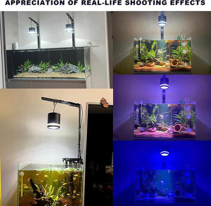 LIYAOLI LED Aquarium Light - Clip On Full Spectrum Fish Tank Light with Adjustable Height for Planted Tanks, Coral Reef, Saltwater/Freshwater, 3 Color Modes - White/Blue/Combo (Black)