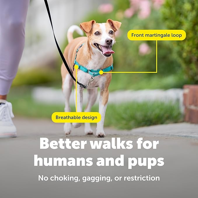 PetSafe Easy Walk Harness for Dogs - Pull-Free Walks - Patented Martingale Loop Design - Front Chest Leash Attachment - Comfort Straps - Breathable Harness Design - Small, Teal/Gray