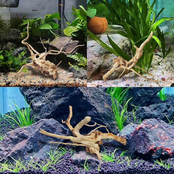 kathson Aquarium Driftwood Reptile Branches Wood Natural Spiderwood Driftwood for Aquarium 5-6" 11 Pcs Terrarium Ornament Trunk Fish Tank Log Habitat Decoration Tree Stump Decor Assorted Sizes Wood